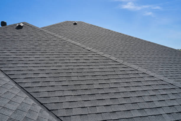 Best Roof Coating and Sealing  in Fort Pierre, SD