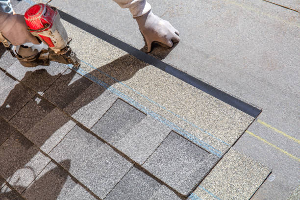 Best Roof Moss and Algae Removal  in Fort Pierre, SD